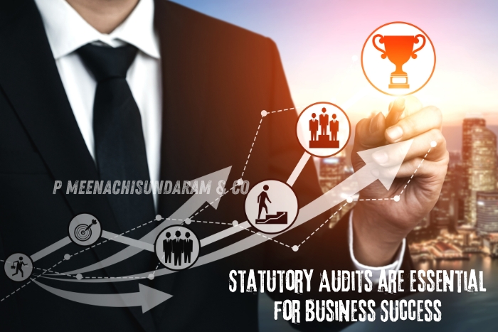 Expert auditing services ensure compliance, Statutory Audit, and operational efficiency for P.Meenachisundaram and Co. in Coimbatore