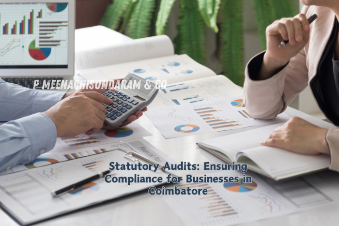 P.Meenachisundaram and Co. in Coimbatore provides expert statutory audit services to ensure businesses comply with financial regulations