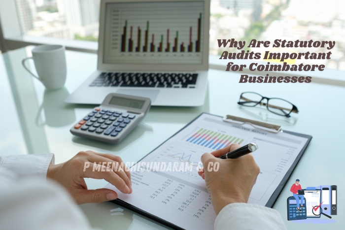 The importance of statutory audits for businesses to ensure compliance and financial accuracy by P.Meenachisundaram and Co. in Coimbatore