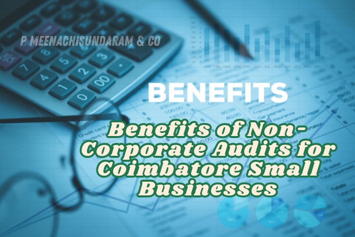 Non-corporate audits supports small businesses with expert audit services to improve financial clarity by P.Meenachisundaram & Co.