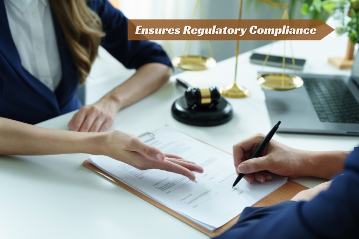 P.Meenachisundaram & Co. in Coimbatore ensures your business meets all regulatory requirements through expert audits