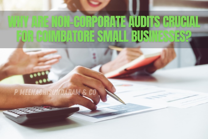 P.Meenachisundaram & Co. in Coimbatore helps startups and SMEs ensure compliance and financial transparency