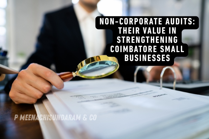 P.Meenachisundaram and Co. in Coimbatore supports small businesses with reliable audit services