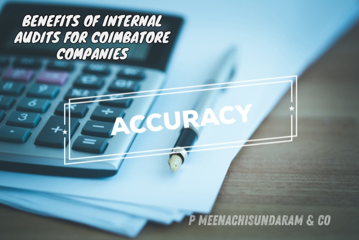 Ensuring financial accuracy, risk management, and regulatory compliance by P. Meenachisundaram & Co. in Coimbatore