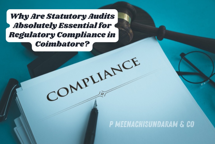 P. Meenachisundaram & Co. in Coimbatore ensures businesses stay compliant with statutory audits