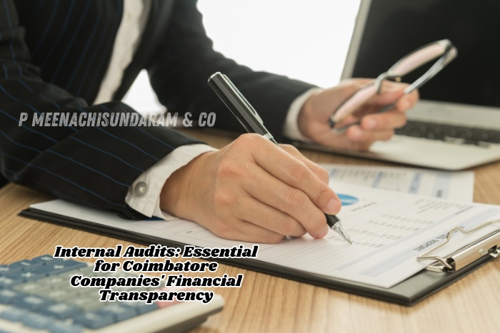 P. Meenachisundaram & Co. offers precise internal audit services to strengthen business credibility