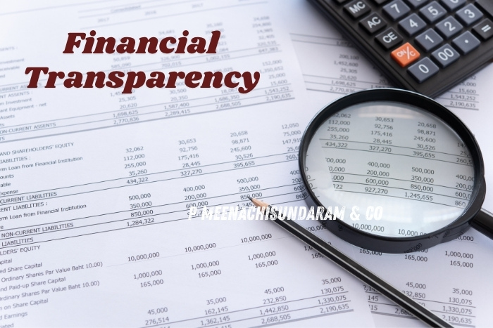 P. Meenachisundaram & Co in Coimbatore promotes financial transparency through expert auditing and reporting