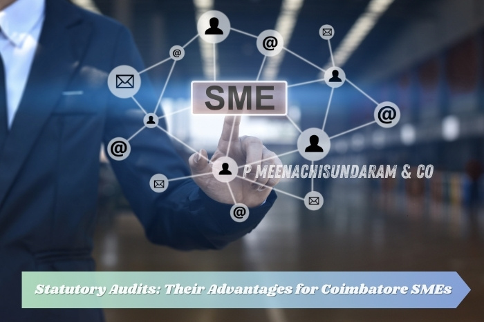 P Meenachisundaram & Co in Coimbatore helps clients avoid common tax audit mistakes with expert financial guidance