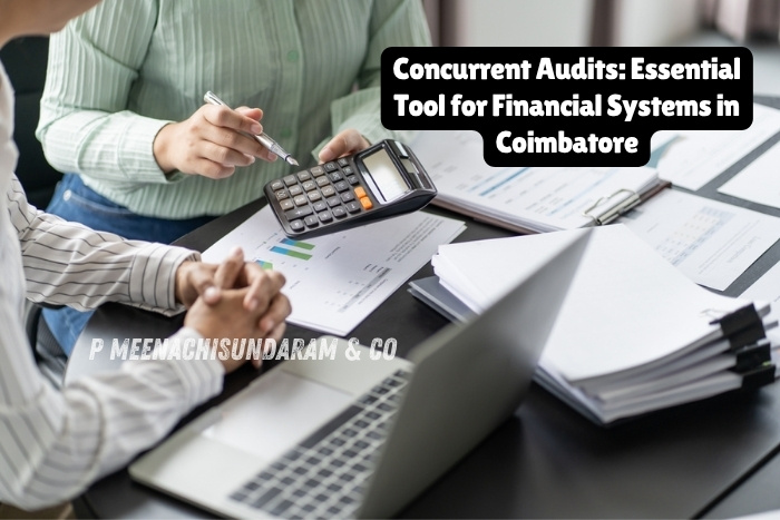 Concurrent audit and compliance process showcased for P Meenachisundaram & Co in Coimbatore